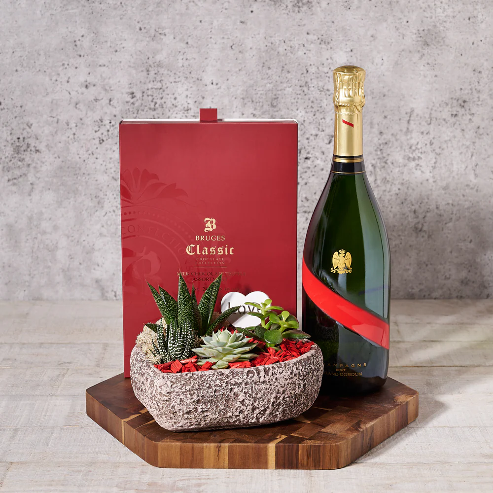 A Loving Succulent & Wine Gift
