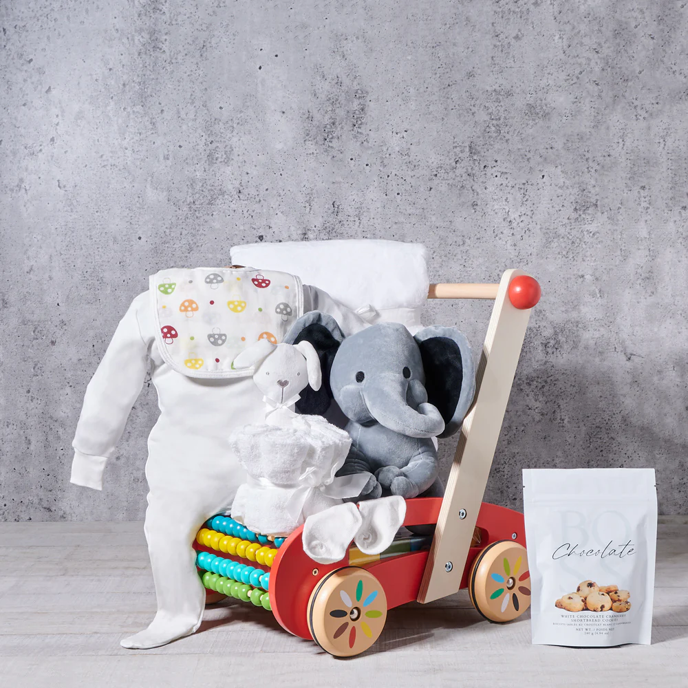 Baby Walker Toy & Essentials Gift Set