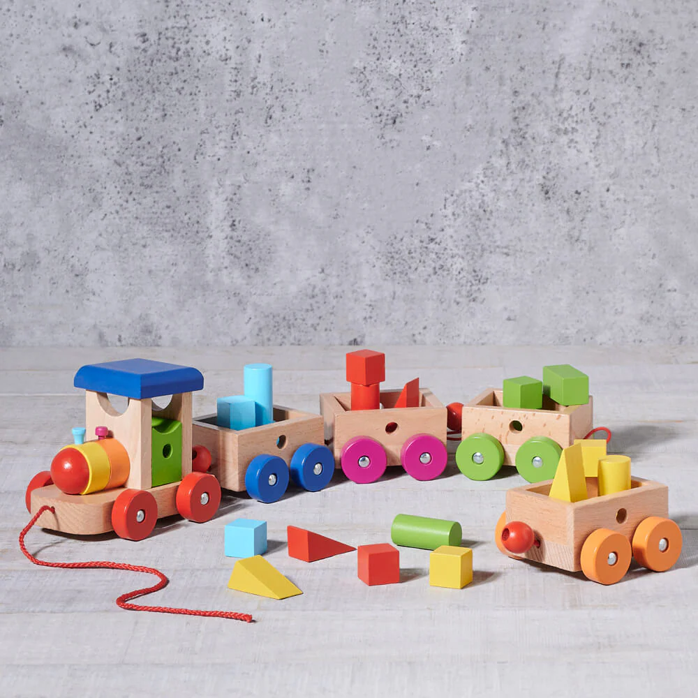 Birbaby Pull Along Train Set