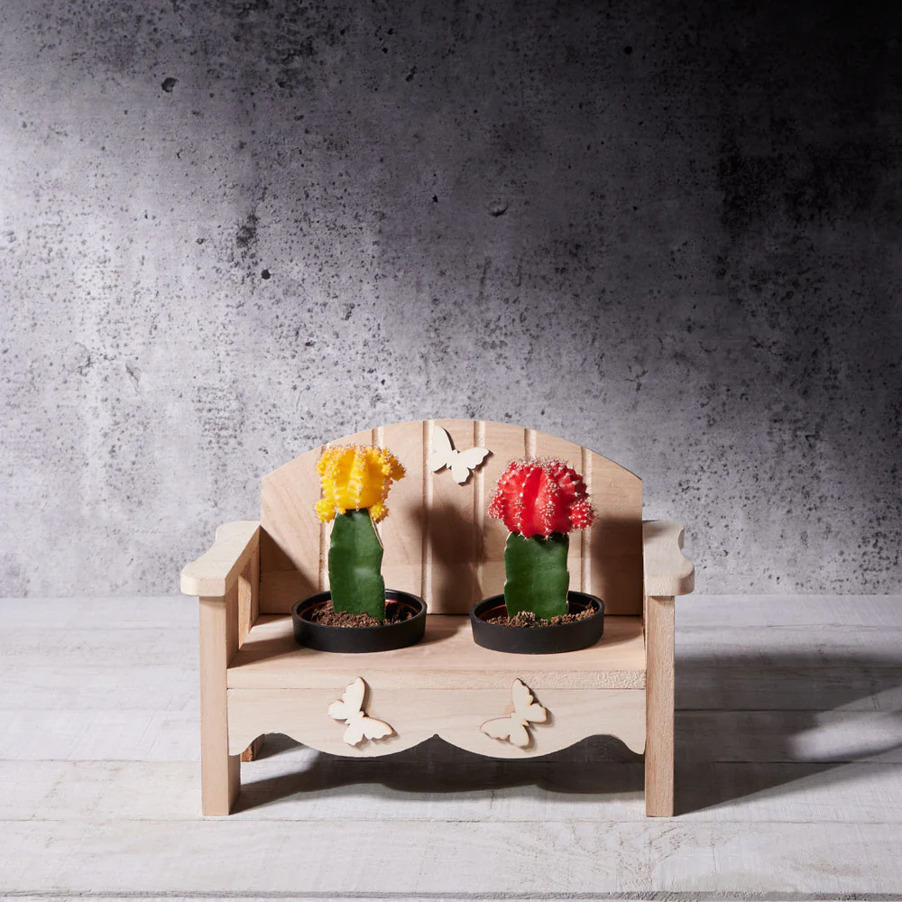 Cactus Duo Bench Planter