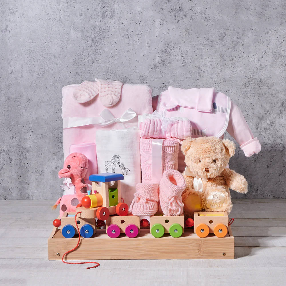 The Newborn Voyager Baby Girl Collection